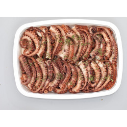 POULPES MARINES 5 K LOCAS