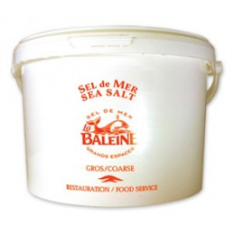 SEL DE MER GROS 1-3 6KG MARSEL