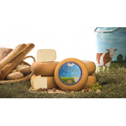 **CHEVRE DE LIENNE 2K