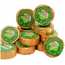 BEL PAESE MIGNON 24X25 GALBANI