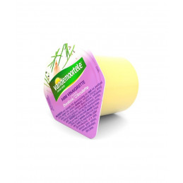 VINAIGRETTE CIBOULETTE 120X40M
