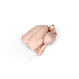 POULET ENTIER CALIBRE 1,6KG C6