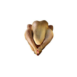 POULET JAUNE DES LANDES
