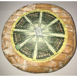 **TOMME DE L'ABBAYE DE...