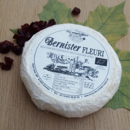 **LE BERNISTER FLEURI