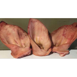 OREILLES DE PORC CBS
