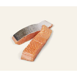 FILET SAUMON 6X150G