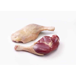 CUISSE DE CANNETTE FRAICHE...