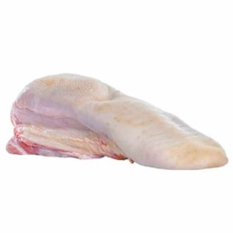 LANGUE DE BOEUF