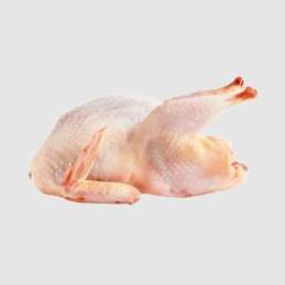 CAILLES 180G CARTON DE...