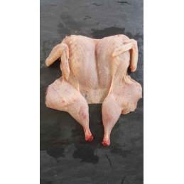CAILLES DESOSSEES 5x4pcs...