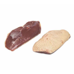 FILET CANETTE COUTHOUIS 5KG 