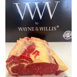 RIB EYE WAYNE & WILLIS SURG