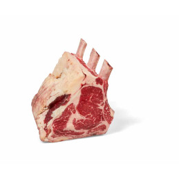 BLOC COTE A L'OS HOLSTEIN.BE